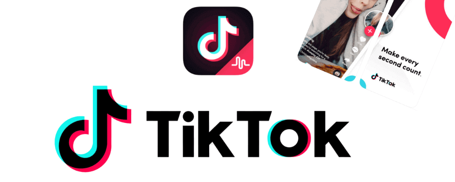 7 People You Need to Follow on TikTok ASAP